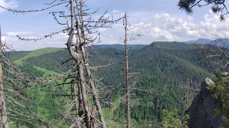 Гора Камінь