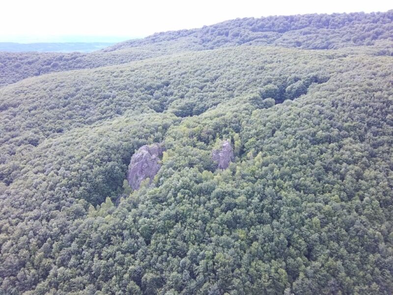 Зачарована долина Зачарована долина