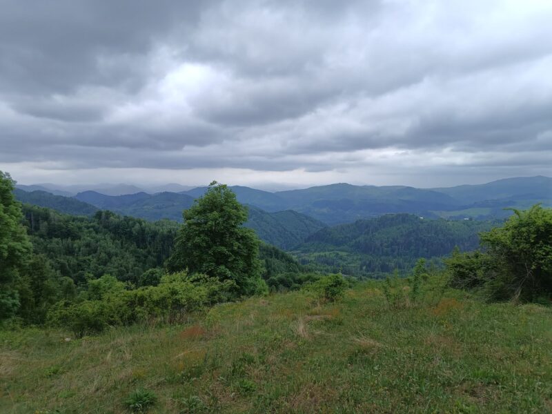 IMG_20240528_135856372