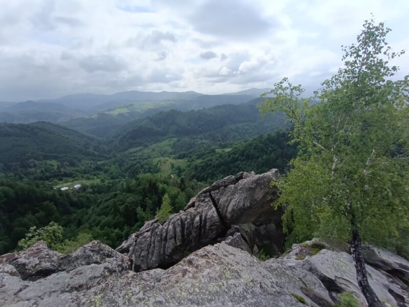 Кашицкий камень Кашицкий камень