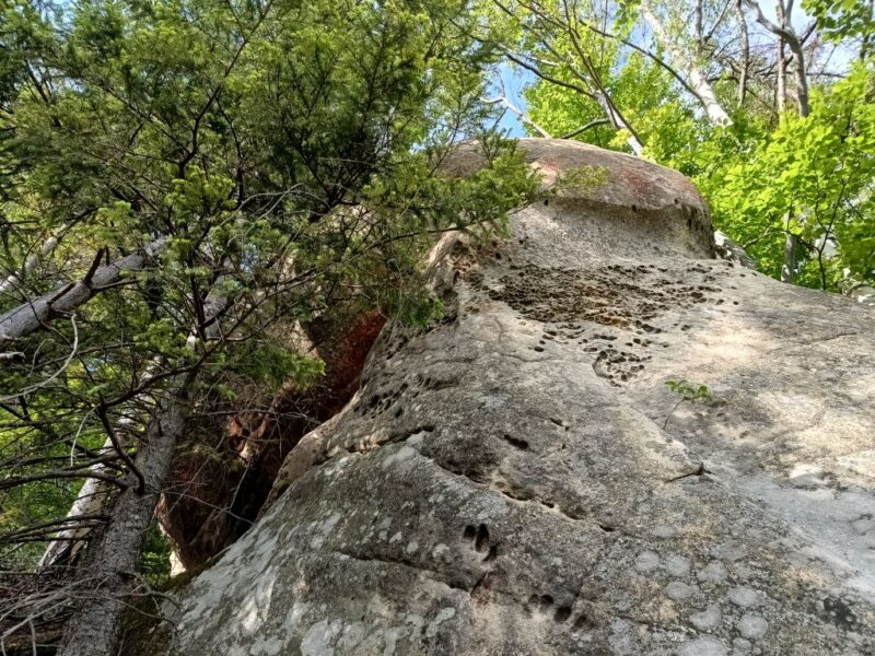 IMG_20240528_170940802_HDR