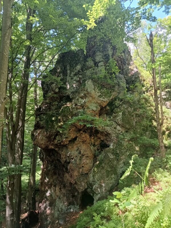 IMG_20240605_144303791_HDR