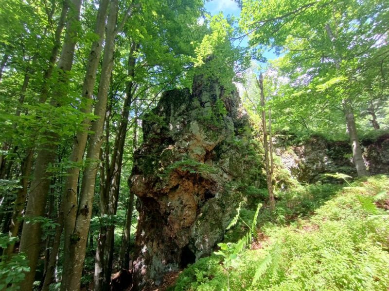 IMG_20240605_144309533_HDR
