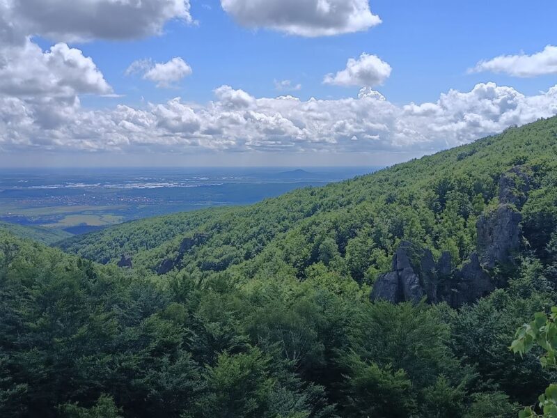 Зачарована долина Зачарована долина