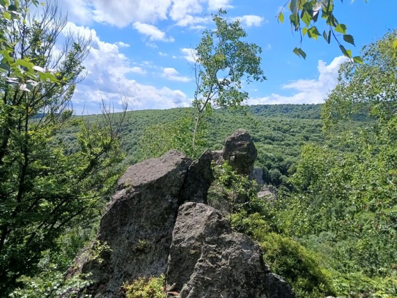 Зачарована долина Зачарована долина