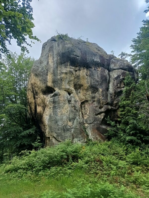IMG_20240608_135205626_HDR