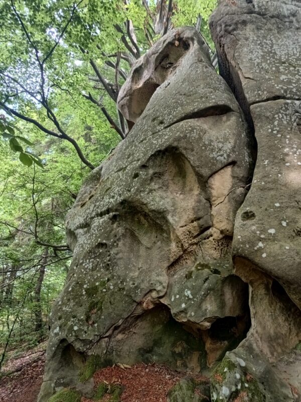 IMG_20240608_144817019_HDR
