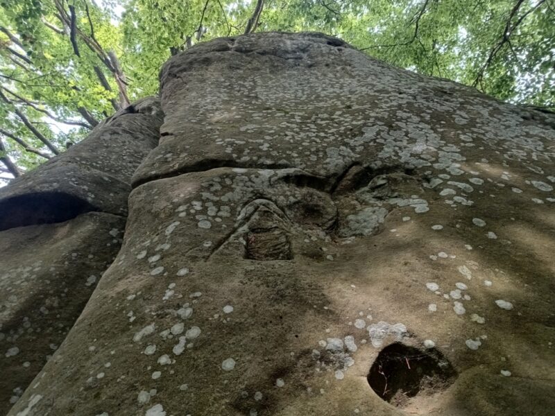 IMG_20240608_145744474_HDR