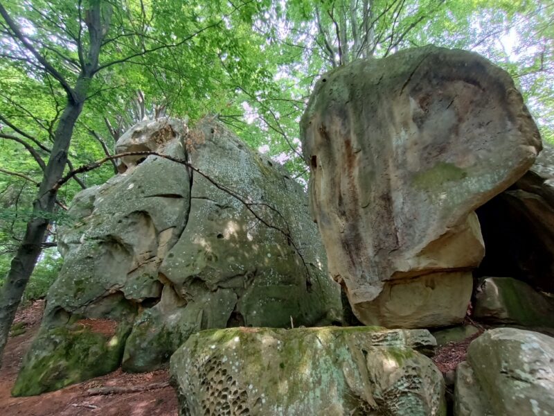 IMG_20240608_150257154_HDR