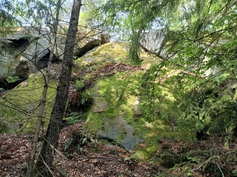 IMG_20240608_161735208_HDR