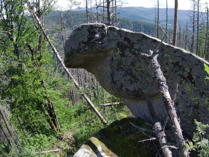 Мегаліт - Птаха